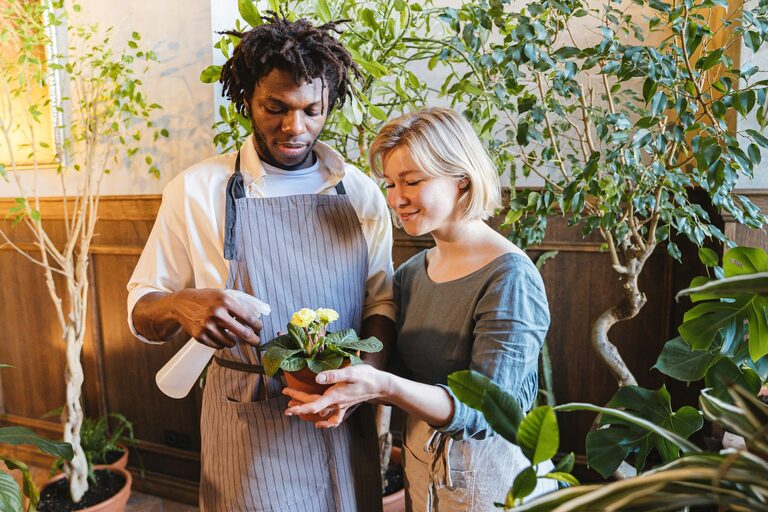 Simple Tips for Keeping Houseplants Healthy